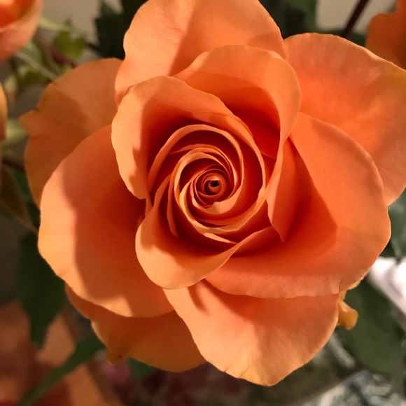 Meet your Posher, Tricia - Picture 1 of 1